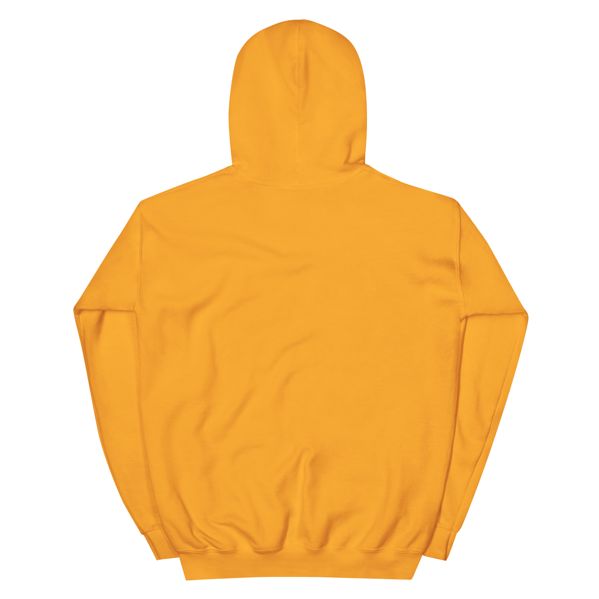 Chairbear x Cace Unisex Hoodie - Image 6
